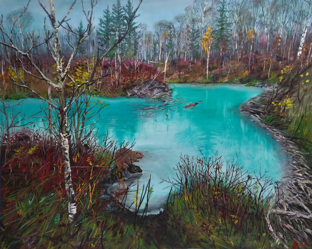 The Beaver Pond
43" X 54"
Oil on Canvas
2022

As dawn breaks over the beaver pond we find the resident beaver taking a brief pause after a long night of stashing its winter stores.  It will be these submersed branches that will feed his family in the cold winter months to come.

As part of the Northern Waters Series this work depicts one of Canada's most iconic animals responsible for literally 'shaping' the northern wilderness. After watching the shores of the pond transform over the past summer we now find  this picturesque beaver pond. With its swollen waters and stump filled shores, sturdy dams and strategically positioned lodges, one can only marvel at the engineering skills of these large semi-aquatic rodents.