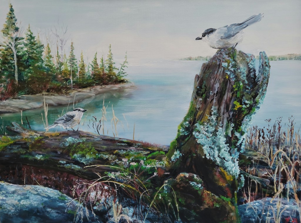 Whiskeyjacks of Keijick Bay
30" x 40"
Oil on Canvas
2022

Whiskyjacks of Kejick Bay is an homage to the rambunctious little birds of the north as well as the indigenous peoples from this community. Here the trees get smaller and the moss and lichen grow thich and colorful. There is a calmness found in the wilderness of the reserve community of Lac Sule. This bay is situated between Kejick Bay and Whitefish Bay and Frenchman's Head. Long ago the community was flooded without any warning to its residents flooding teepees so only the tips were showing and separating the land by a large body of water.  Now, this lake is a destination for fishermen from Canada and the USA. in this work these birds represent the resilience and ingenuity of the people from this area.