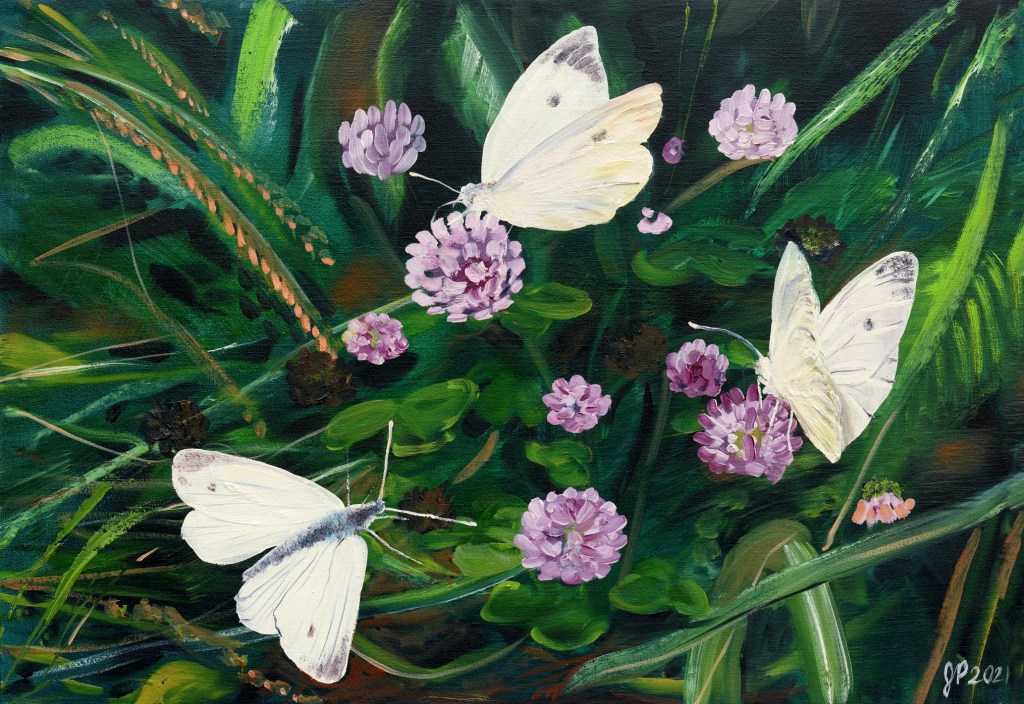 Cabbage Moths

A closer look gives a world of beauty. Enjoy "Cabbage Moths"