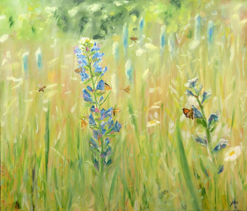 Sunny Field, West Road Garden
41" x 35"
Oil on Canvas
2022

The hot summer sun floods the field with a radiant glow.  An array of pollinators take turns visiting the wildflowers for a sip of nectar, spreading pollen as they go. Little blurs briefly come into focus as they land,  boldly contrasting against the viper's bugloss.

As part of the Pollinator Series, this work depicts a typical wild field in summer. You might come across a similar scene along any Ontario roadside and not think much of it. However, if you take a moment and allow yourself to become immersed in your surroundings you will begin to hear the buzz of the honey bees,  smell the sweet aroma of the wildflowers and feel the sun's warmth on your skin. Sunny Field, West Road Garden transports the viewer to that magical place where pollinators rule.